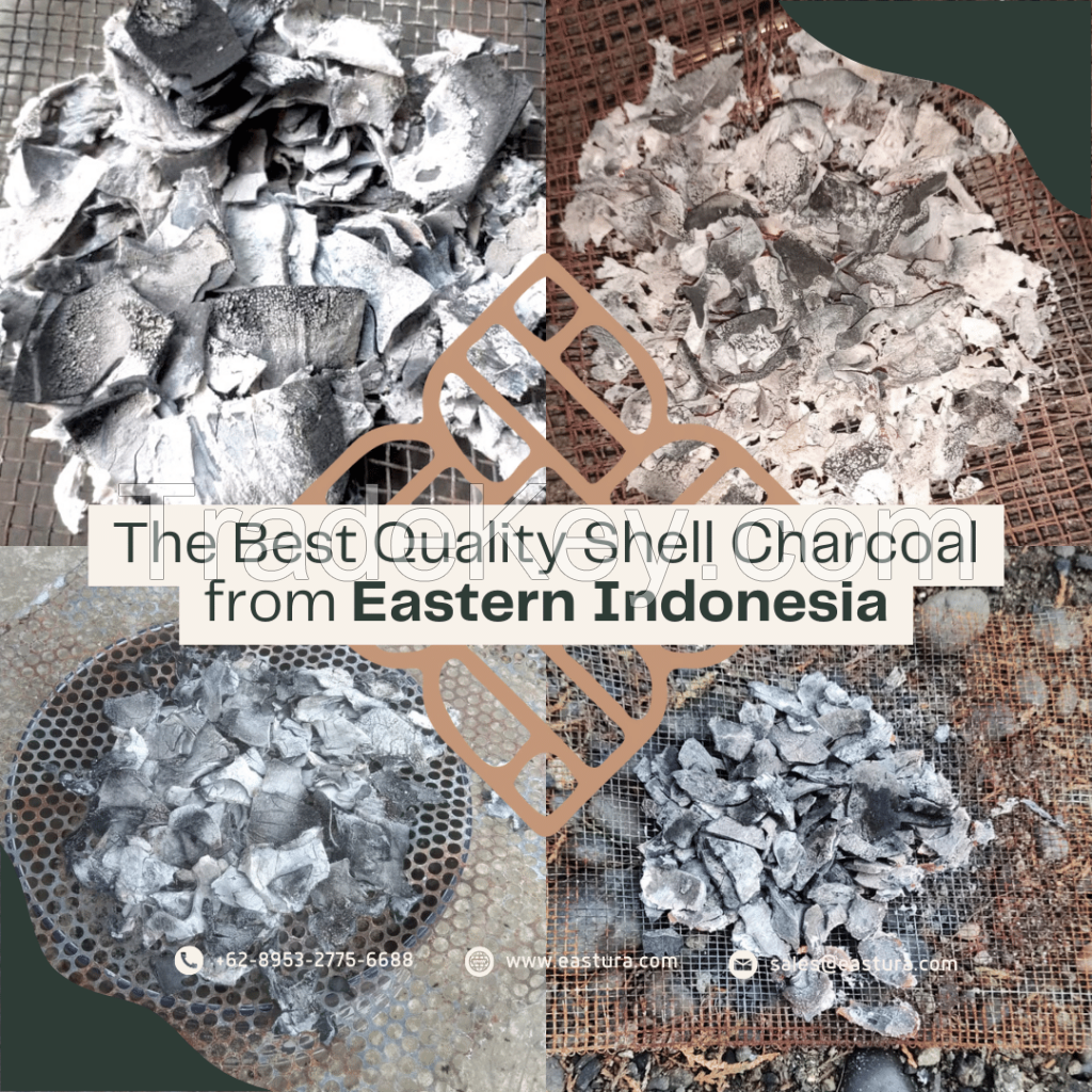 Indonesian Coconut Shell Charcoal By EASTURA