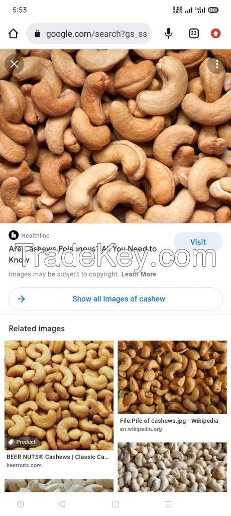 Cashew nuts