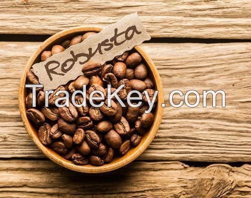 Robusta coffee bean