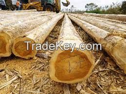 Rectangular Sawn Teak Logs available