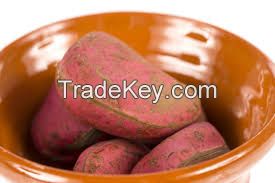 Kola Nut