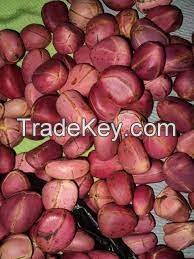 Kola Nut