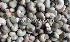 Raw Cashew Nut