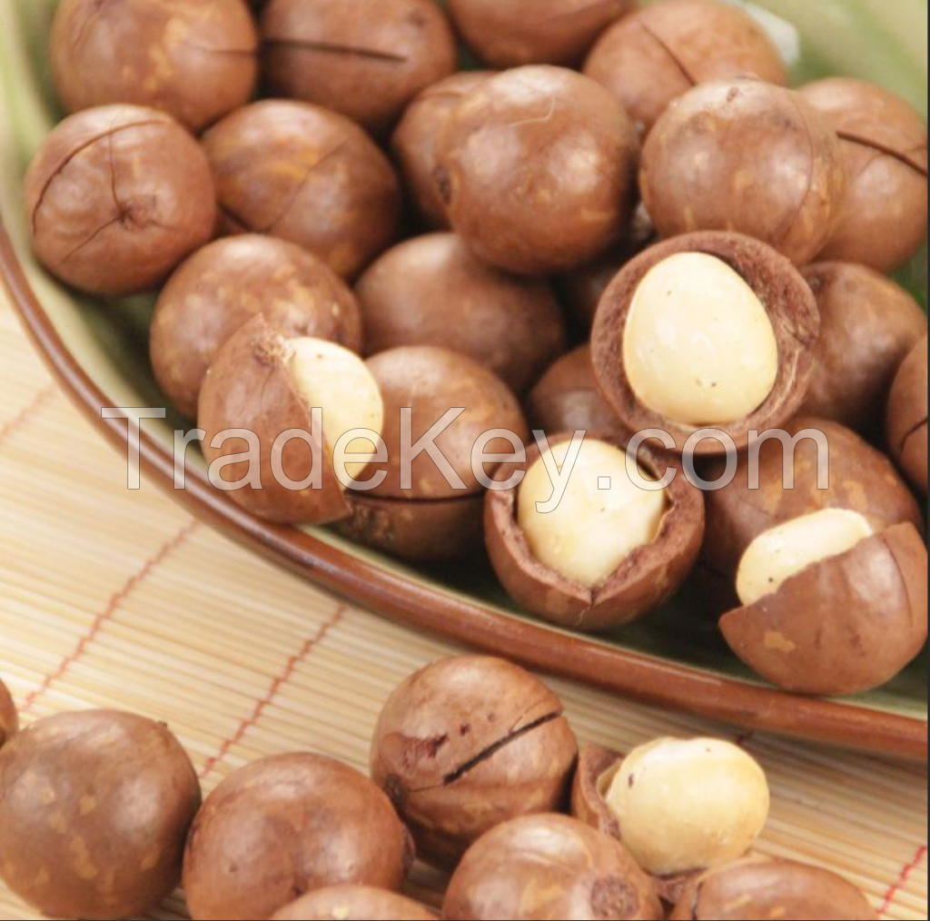 MACADAMIA NUTS AND KERNEL