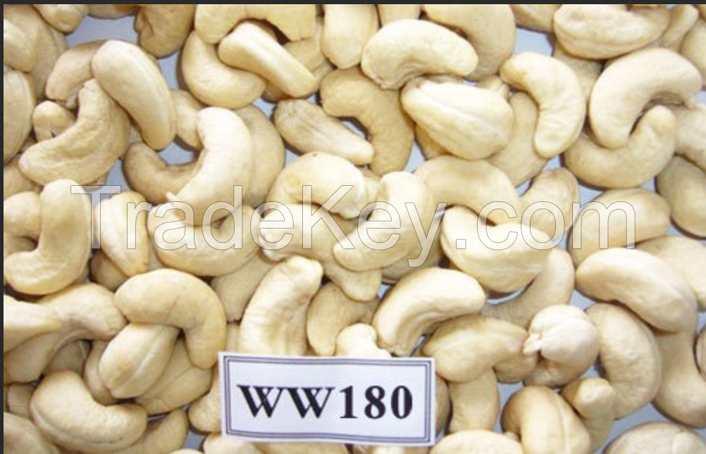 CASHEW NUTS&amp;KERNEL