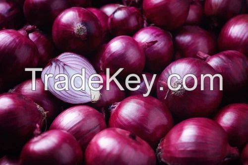 Fresh Red Onion