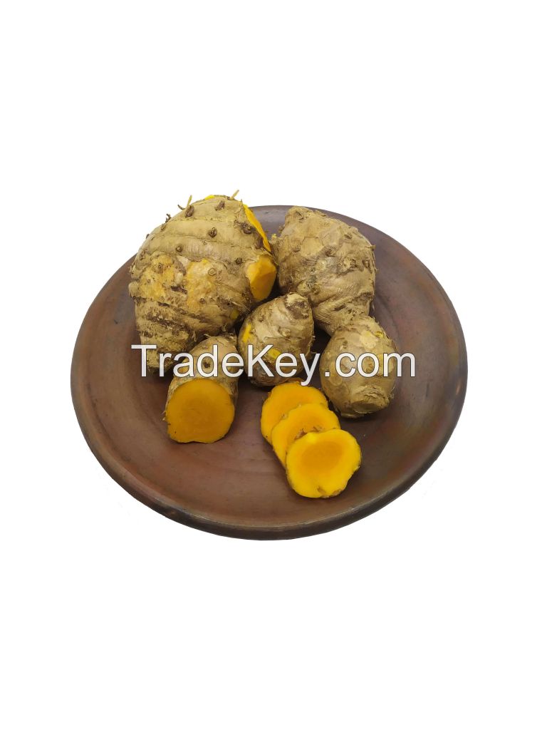 Fresh Curcuma