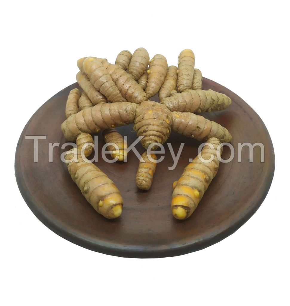 Fresh Turmeric