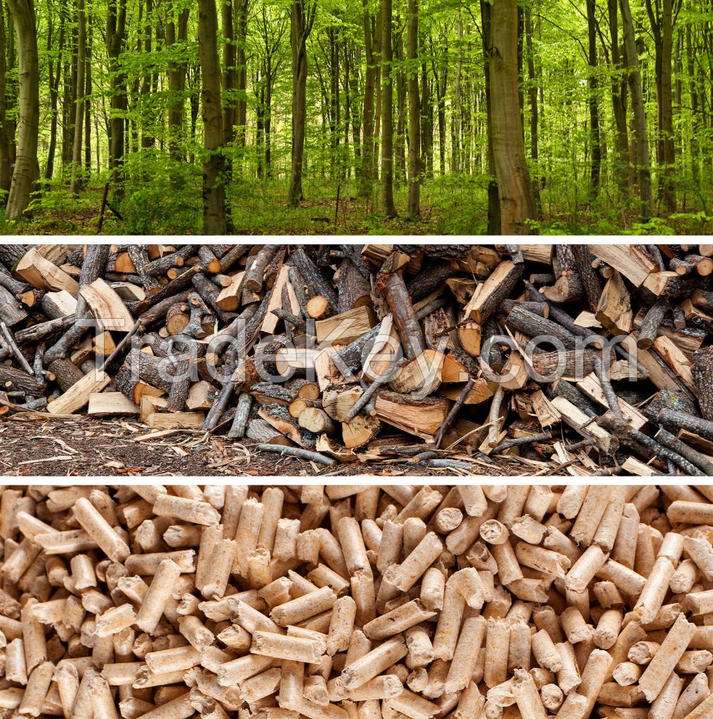 Wood pellets          Fire Logs         Firelighters         Wood pellets bagged         Wood pellets bulk         Bio-catlitter         Sawdust and woodshavings         Woodchips     Wholesale Product Varieties     Contact      0          No products in