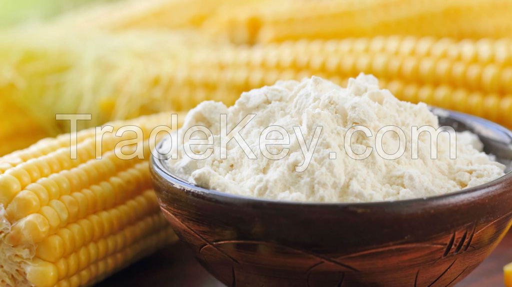 Corn Starch-Modified Starch