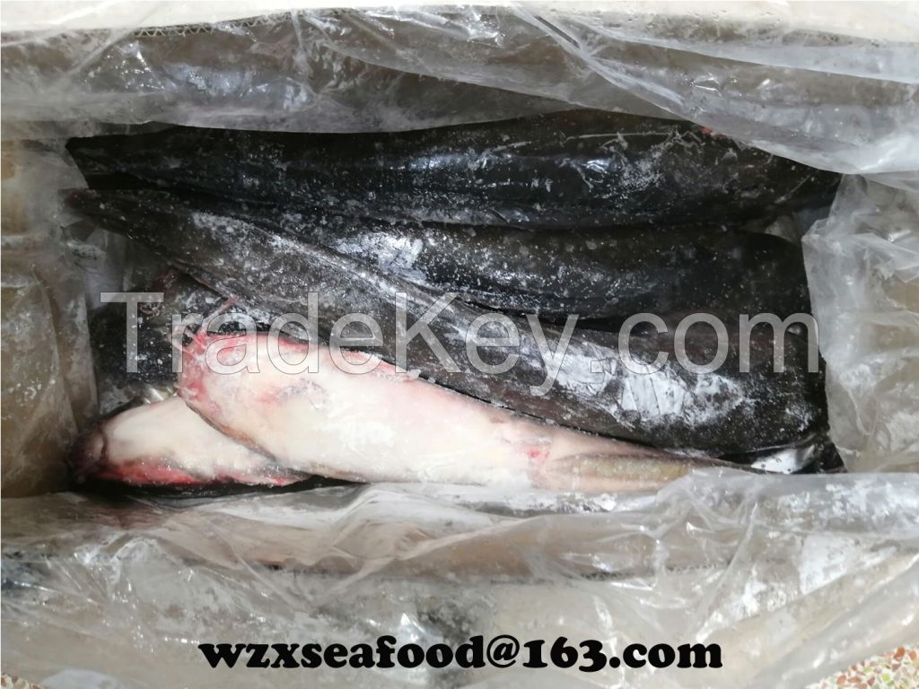 Frozen Catfish Clarius Fuscus