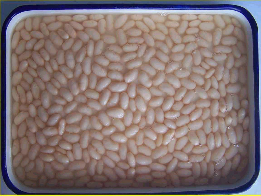 canned white  kidney bean