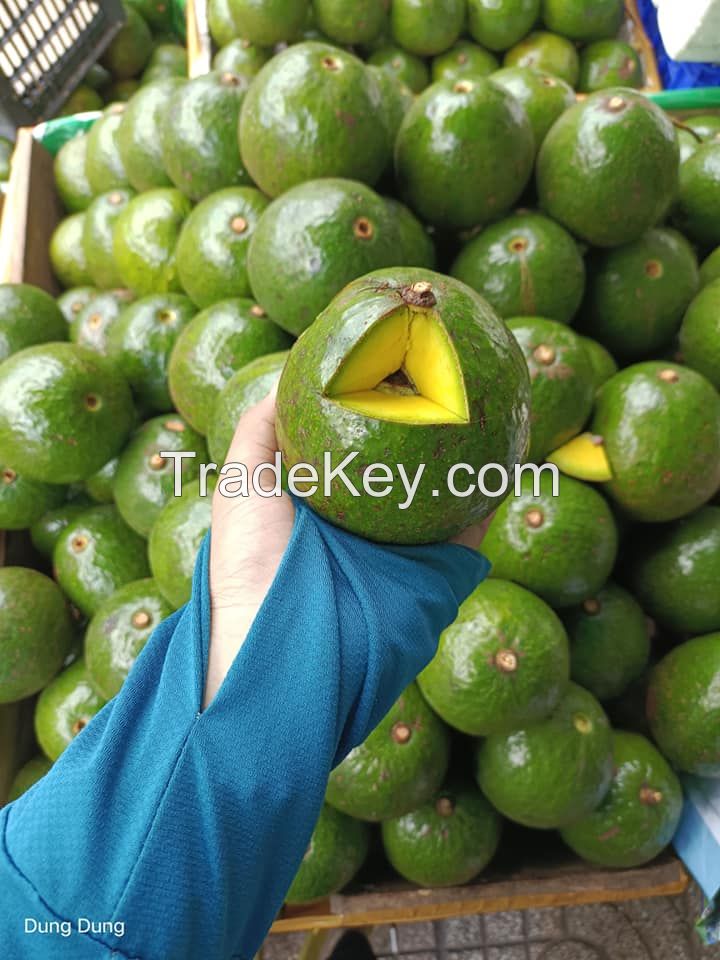 FROZEN AVOCADO HIGH QUALITY COMPETITIVE FOR EXPORT - VIET NAM