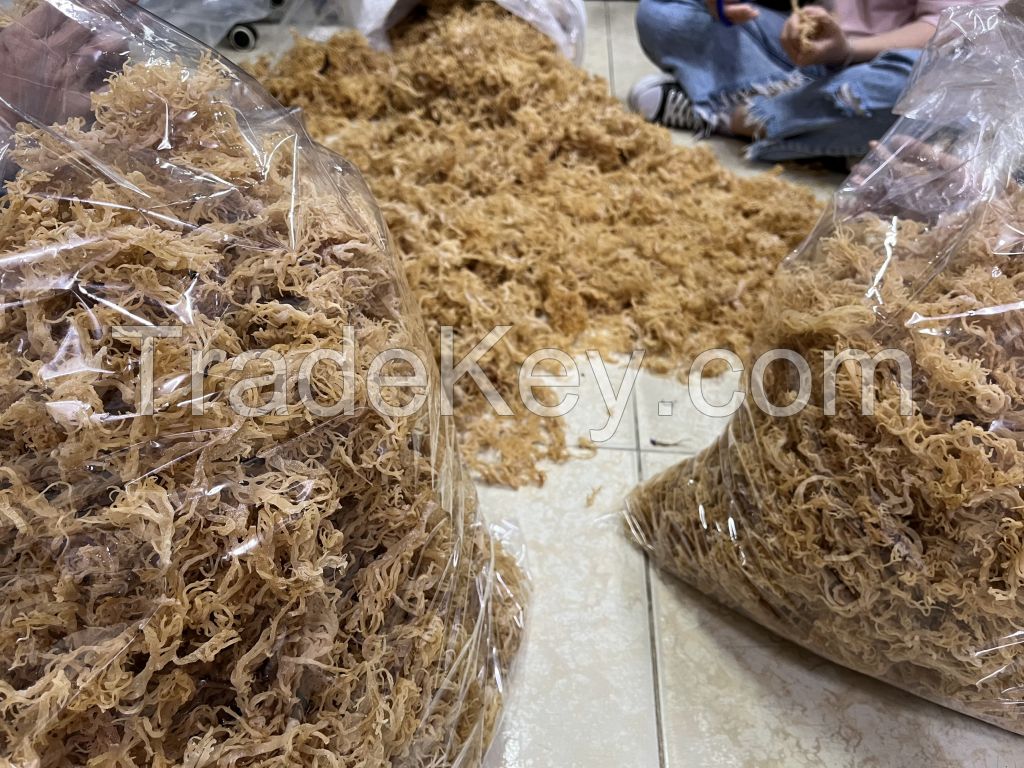 Premium new dry real sea moss Vietnam golden sea moss high quality //Ms.Daisy