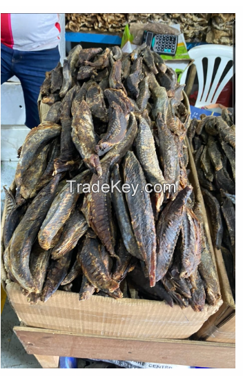 Dry Maldives fish