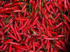 indian Chillies whole & ground,chilli flakes,stemless chillies