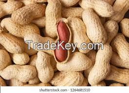 Groundnuts / Peanuts