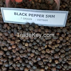 Black Pepper 