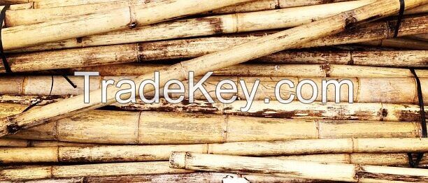 Bamboo Stick