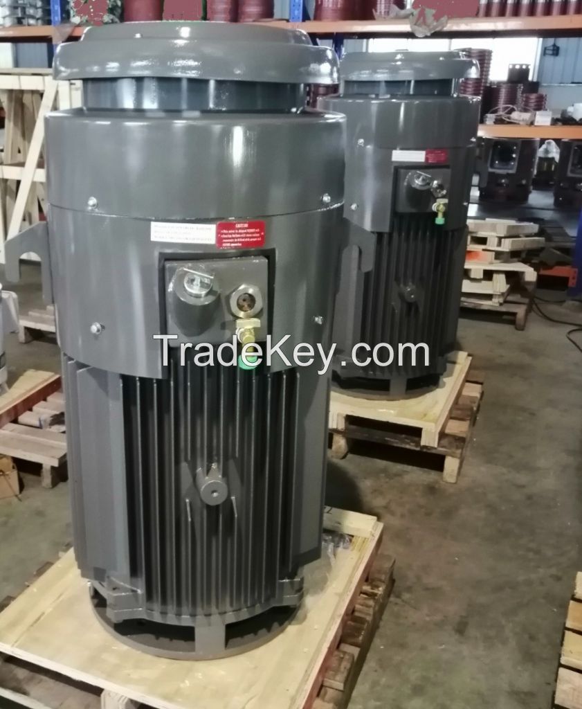 vertical hollow shaft motor