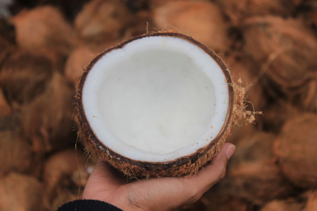 Semi Husked Coconut