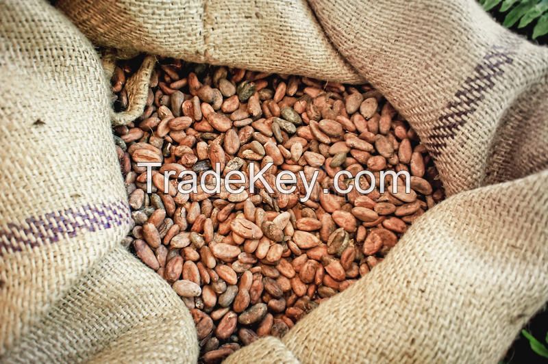 ORGANIC COCOA BEANS