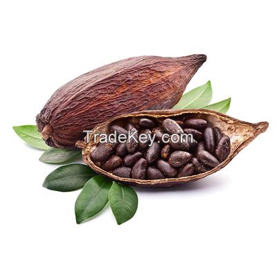 ORGANIC COCOA BEANS