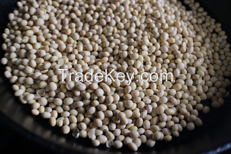 Soybeans