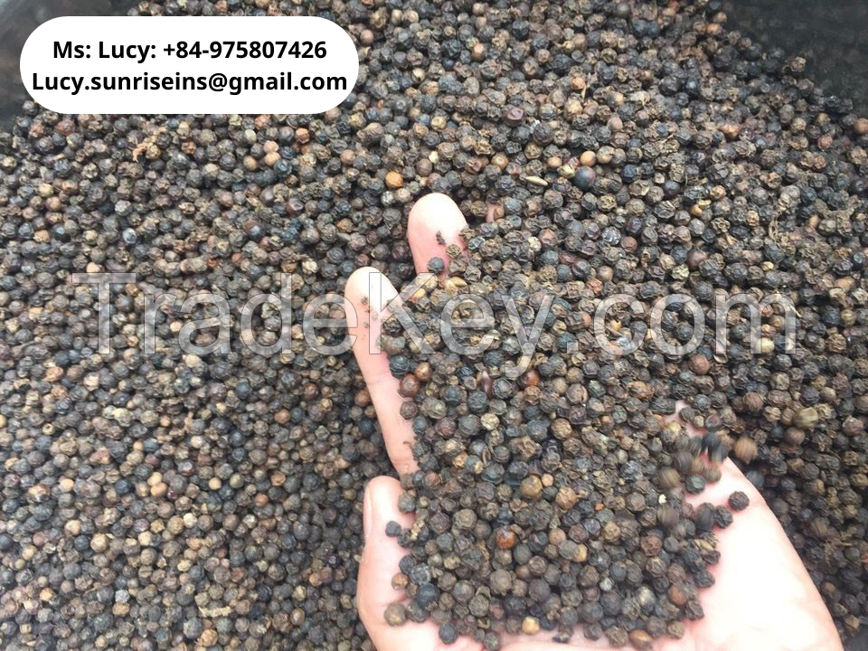 Black pepper, white pepper, pepper dust, pepper powder from VIET NAM