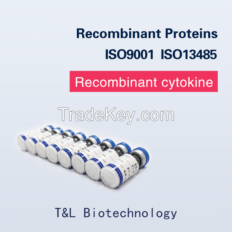 Recombinant Human IL-11 Protein