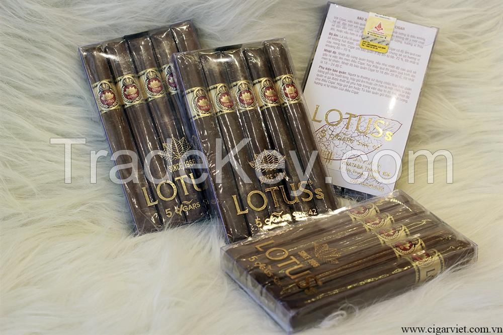 Cigar Lotus S