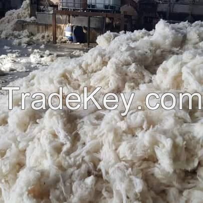 Scoured British Wool