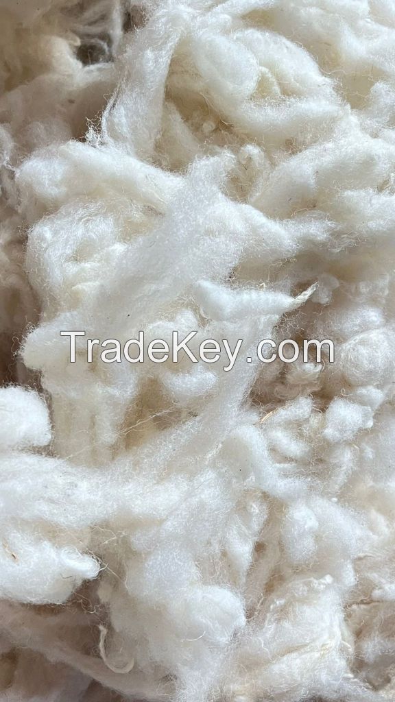 Scoured British Wool