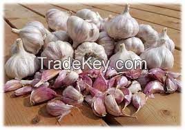 GARLIC