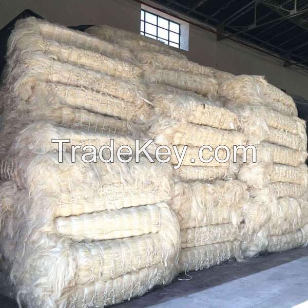 Sisal Fiber