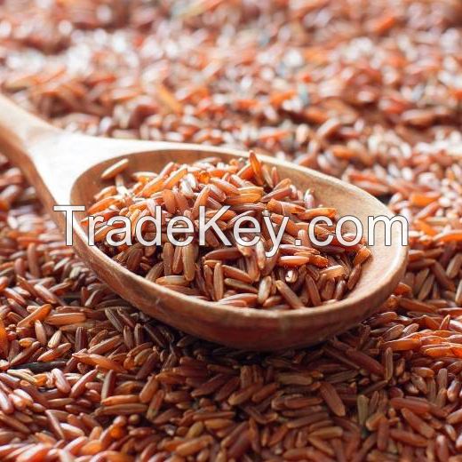 Brown Rice Red Rice Best Selling High Benefits Using For Food HALAL BRCGS HACCP ISO 22000 Certificate Vacuum Customized Packing