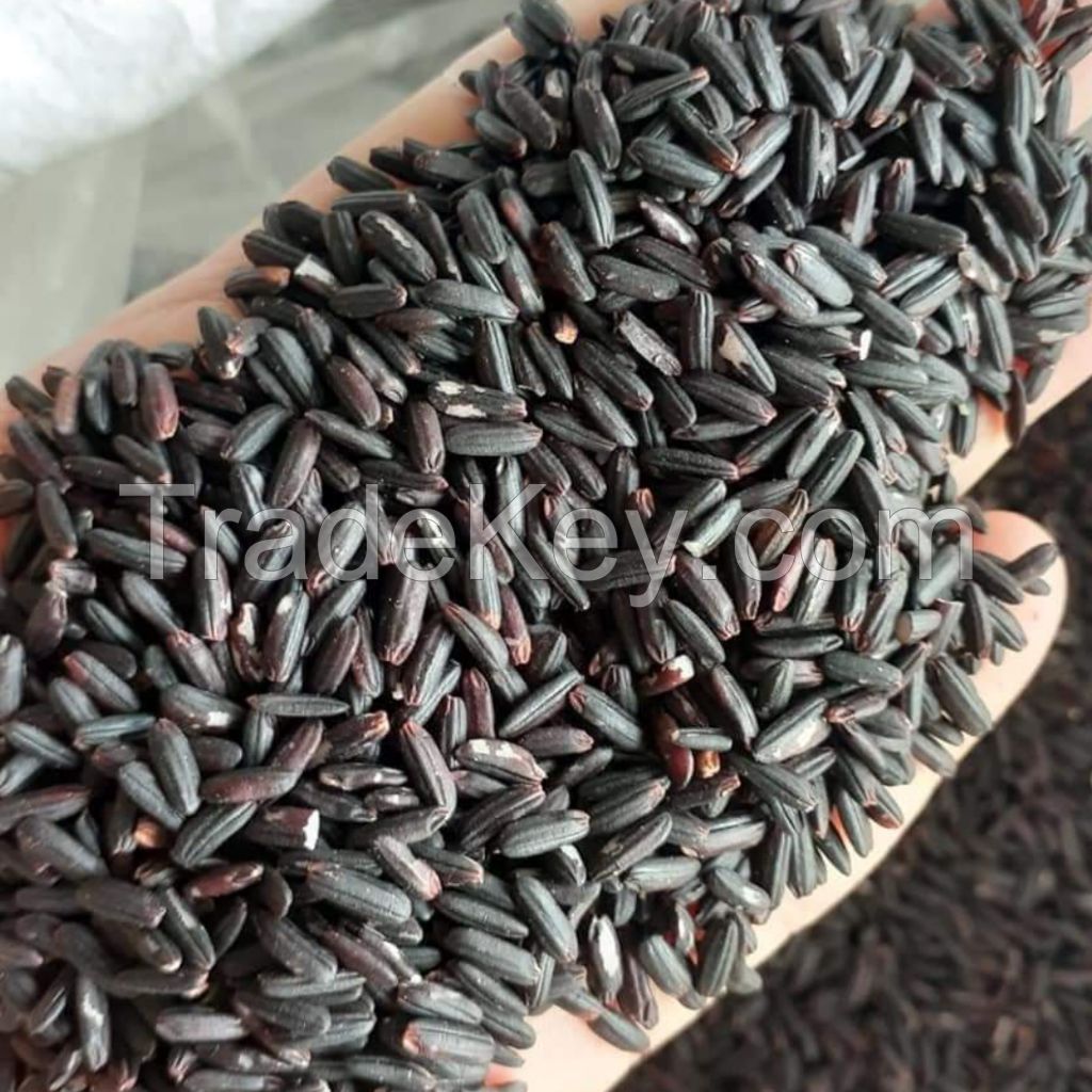 Black Rice Vietnam Brown Rice Top Product Using For Food HALAL BRCGS HACCP ISO 22000 Certificate Custom Packing