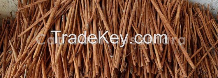 Cinnamon from indonesia