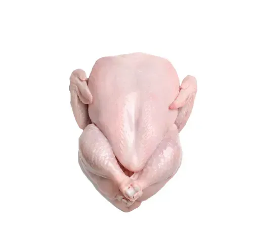 Frozen Whole Chicken (700-2200g)