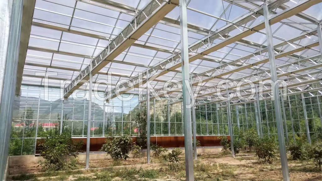 Glass greenhouse