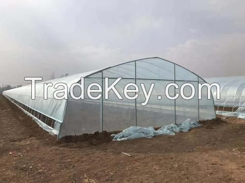 Single Tunnel Greenhouse