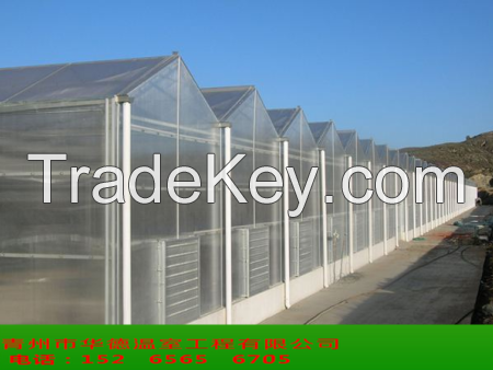 Polycarbonate Greenhouse