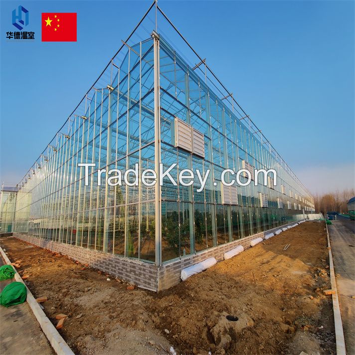 Greenhouse for growing flowers and seedlings