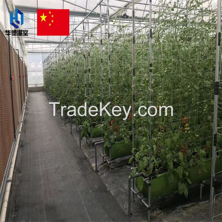 Glass greenhouse supplier