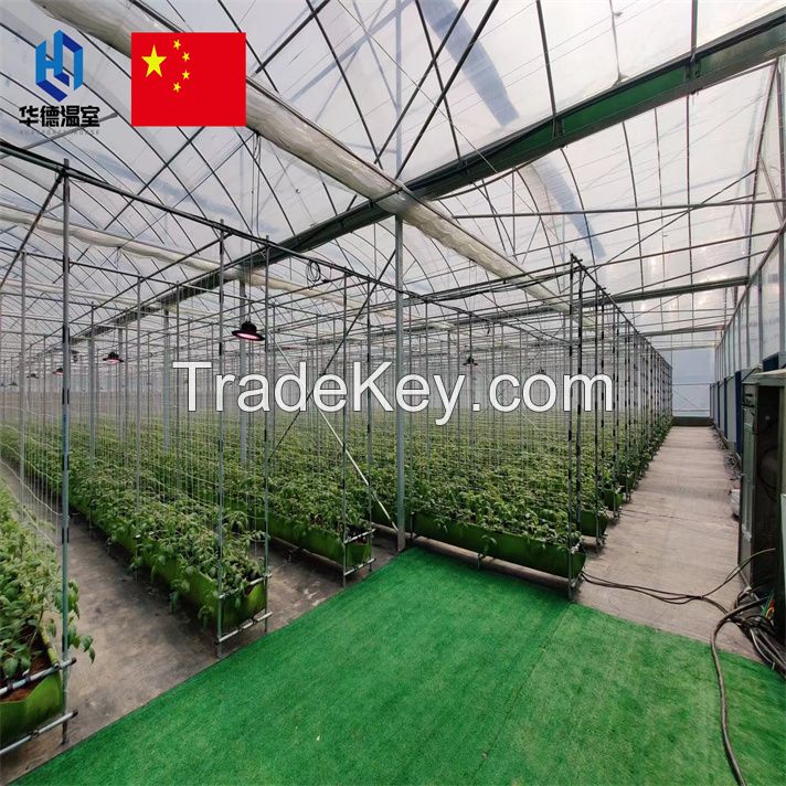 Glass greenhouse supplier