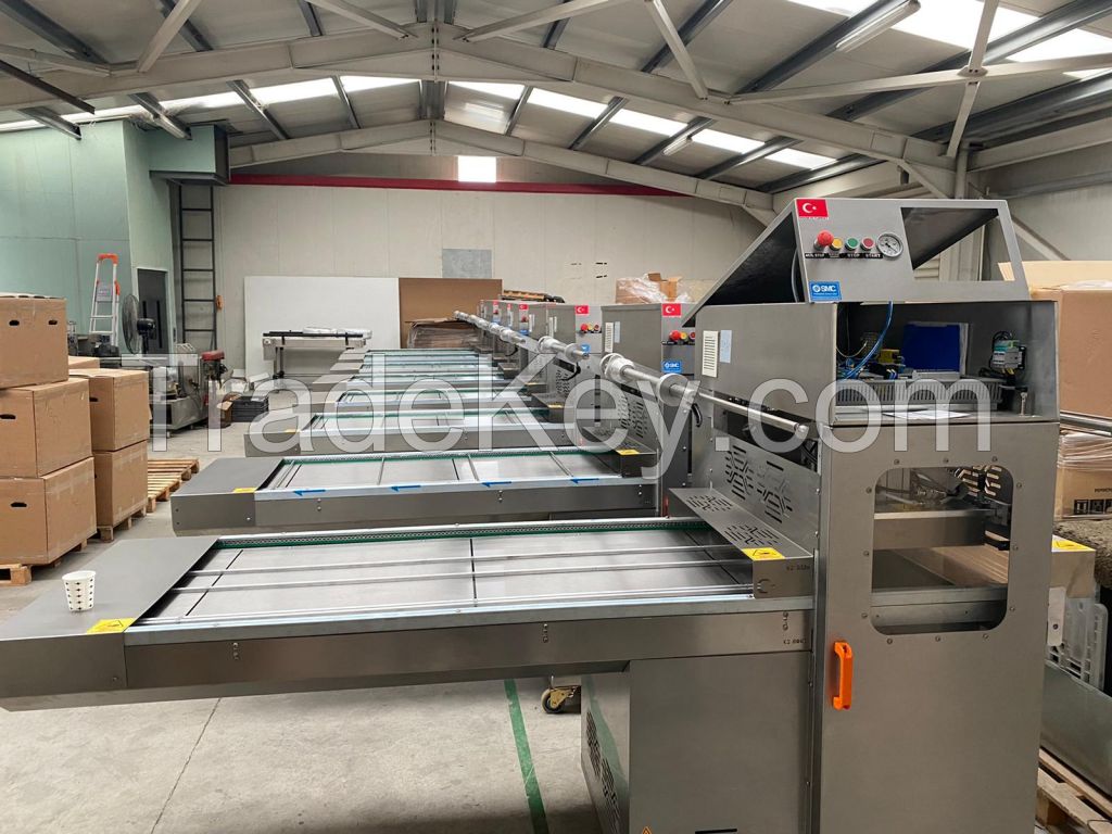 KV 1000 Automatic MAP and Skin Pack Packaging Machine