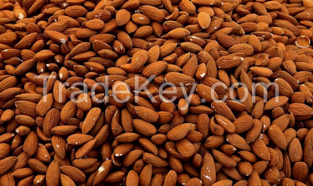 Cheap Almond Nuts / Almond Kernel for wholesale