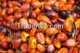 Palm fruits