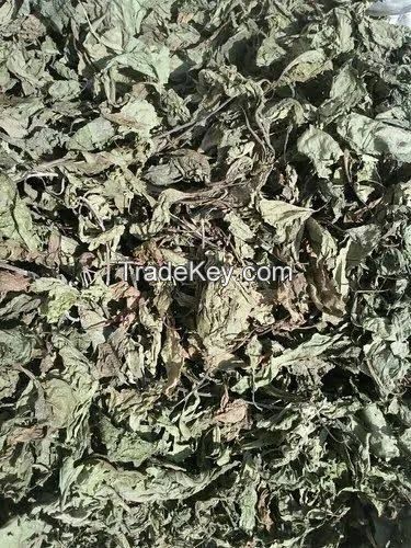 Dried bitter leaf
