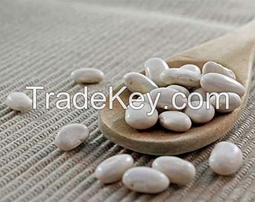 White Kidney Beans